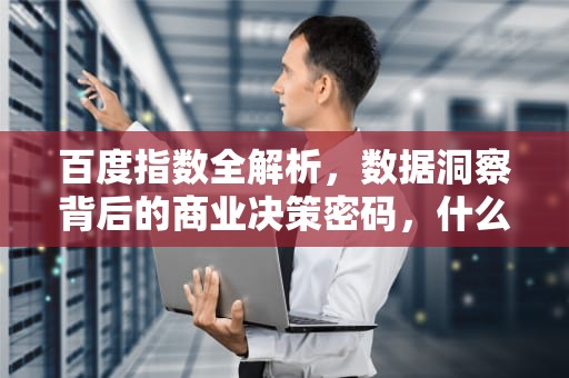 百度指数全解析，数据洞察背后的商业决策密码，什么是百度指数的默认显示模块
