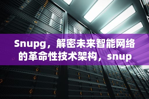 Snupg，解密未来智能网络的革命性技术架构，snupgcom