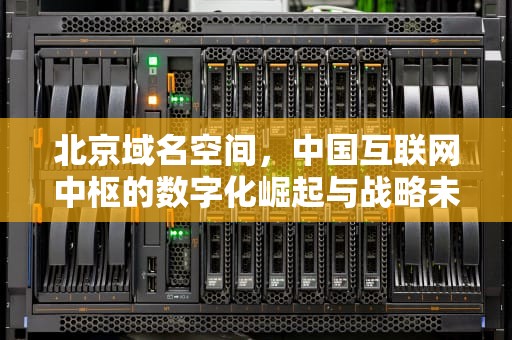 北京域名空间，中国互联网中枢的数字化崛起与战略未来，北京域名科技有限公司