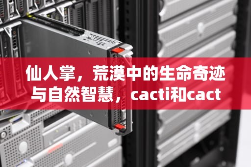 仙人掌，荒漠中的生命奇迹与自然智慧，cacti和cactus区别