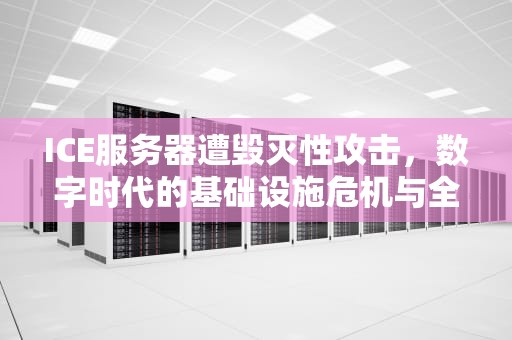 ICE服务器遭毁灭性攻击，数字时代的基础设施危机与全球警示，ice服务器被炸后ice的反应