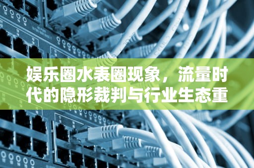 娱乐圈水表圈现象，流量时代的隐形裁判与行业生态重塑，娱乐圈中的水表圈是什么