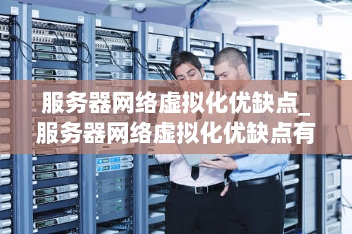 服务器网络虚拟化优缺点_服务器网络虚拟化优缺点有哪些_服务器网络虚拟化的优点与缺点