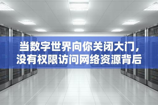 当数字世界向你关闭大门，没有权限访问网络资源背后的技术困境与社会隐忧，没有权限访问网络资源怎么办