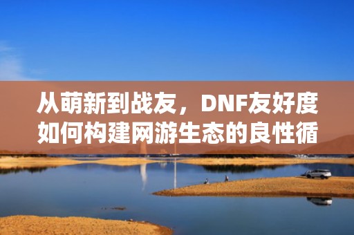 从萌新到战友，DNF友好度如何构建网游生态的良性循环，dnf友好度系统