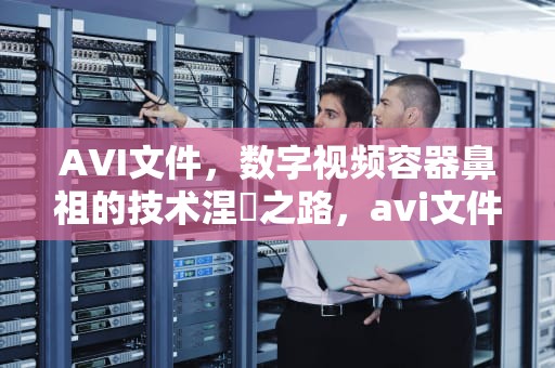 AVI文件，数字视频容器鼻祖的技术涅槃之路，avi文件怎么转换成视频