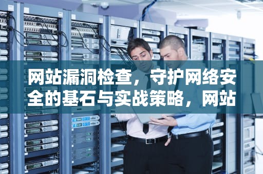 网站漏洞检查，守护网络安全的基石与实战策略，网站漏洞检查方法