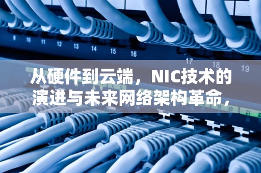 从硬件到云端，NIC技术的演进与未来网络架构革命，nice是什么意思