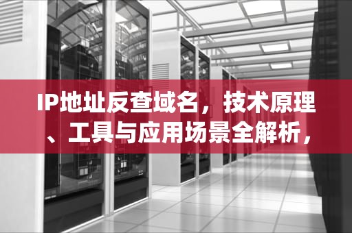 IP地址反查域名，技术原理、工具与应用场景全解析，ip反查域名网站