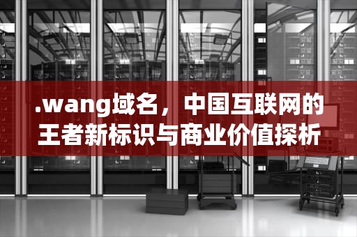 .wang域名，中国互联网的王者新标识与商业价值探析，网域名解析ip地址查询