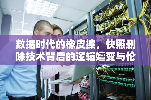 数据时代的橡皮擦，快照删除技术背后的逻辑嬗变与伦理重构，快照删除与更新