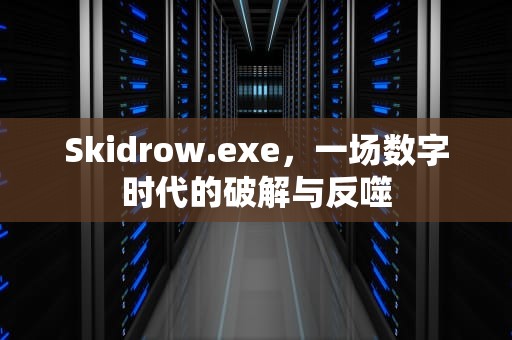 Skidrow.exe，一场数字时代的破解与反噬