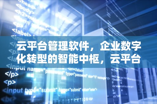 云平台管理软件，企业数字化转型的智能中枢，云平台管理软件价格