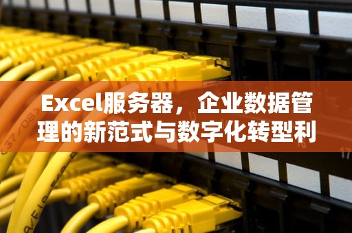 Excel服务器，企业数据管理的新范式与数字化转型利器，无法启动excel服务器