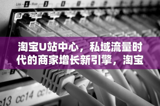 淘宝U站中心，私域流量时代的商家增长新引擎，淘宝U站中心