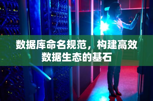 数据库命名规范，构建高效数据生态的基石