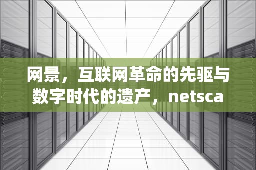 网景，互联网革命的先驱与数字时代的遗产，netscape navigator