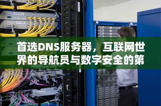 首选DNS服务器，互联网世界的导航员与数字安全的第一道防线，首选DNS服务器填什么