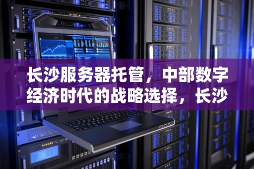 长沙服务器托管，中部数字经济时代的战略选择，长沙服务器托管价格