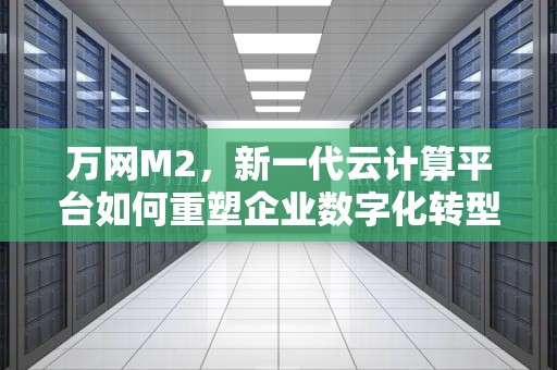 万网M2，新一代云计算平台如何重塑企业数字化转型，万网名大全