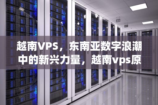 越南VPS，东南亚数字浪潮中的新兴力量，越南vps原生ip