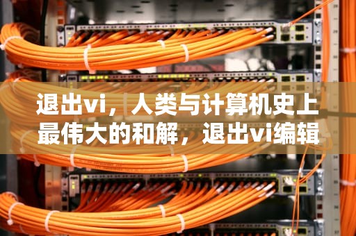 退出vi，人类与计算机史上最伟大的和解，退出vi编辑器的命令