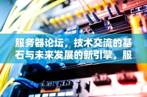 服务器论坛，技术交流的基石与未来发展的新引擎，服务器论坛交流