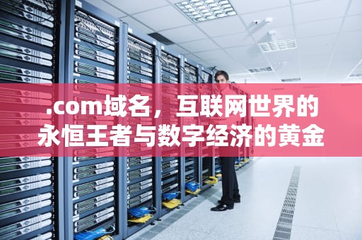 .com域名，互联网世界的永恒王者与数字经济的黄金资产，com域名表示的是什么