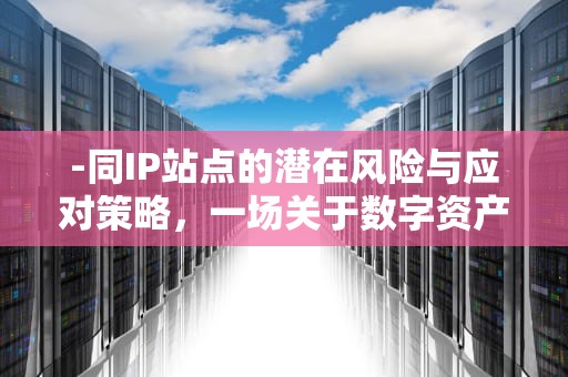 -同IP站点的潜在风险与应对策略，一场关于数字资产安全的深度探讨，同IP站点查询