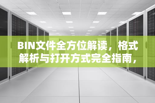 BIN文件全方位解读，格式解析与打开方式完全指南，bin文件用什么打开方式