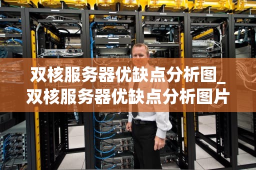双核服务器优缺点分析图_双核服务器优缺点分析图片_双核服务器的优缺点分析