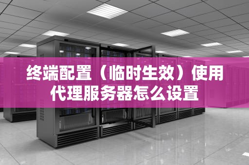 终端配置（临时生效）使用代理服务器怎么设置