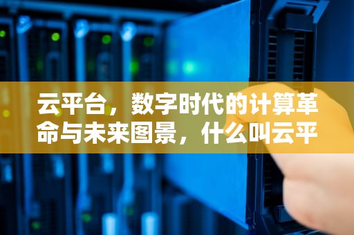 云平台，数字时代的计算革命与未来图景，什么叫云平台云服务