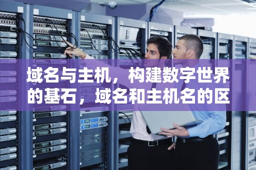 域名与主机，构建数字世界的基石，域名和主机名的区别
