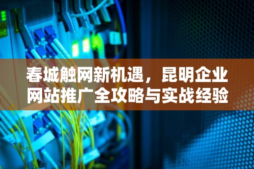 春城触网新机遇，昆明企业网站推广全攻略与实战经验分享，昆明网站推广公司