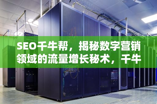 SEO千牛帮，揭秘数字营销领域的流量增长秘术，千牛帮忙上架产品是真的假的