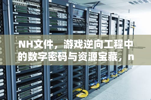 NH文件，游戏逆向工程中的数字密码与资源宝藏，nh文件怎么打开