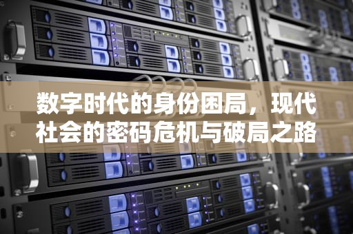数字时代的身份困局，现代社会的密码危机与破局之路，密码问题怎么填写