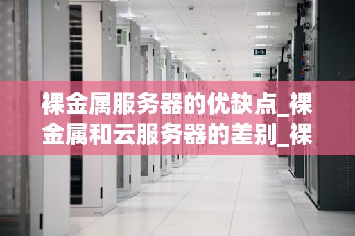 裸金属服务器的优缺点_裸金属和云服务器的差别_裸金属服务器的优缺点
