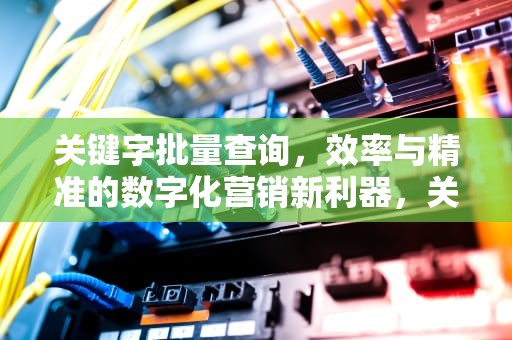 关键字批量查询，效率与精准的数字化营销新利器，关键字批量查询怎么设置