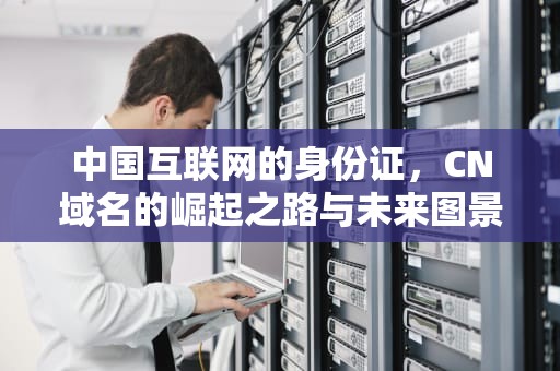 中国互联网的身份证，CN域名的崛起之路与未来图景，cn域名是什么意思啊