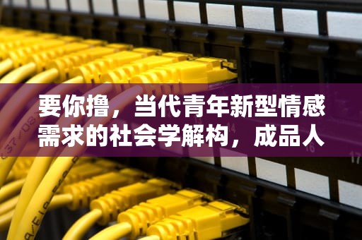 要你撸，当代青年新型情感需求的社会学解构，成品人与精品人的思维导图