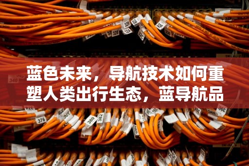 蓝色未来，导航技术如何重塑人类出行生态，蓝导航品收入最全的版本