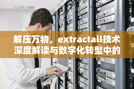 解压万物，extractall技术深度解读与数字化转型中的核心价值，extractall函数
