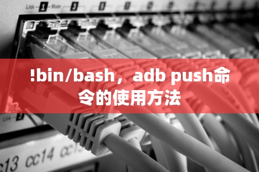 !bin/bash，adb push命令的使用方法