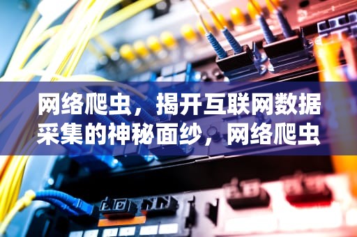网络爬虫，揭开互联网数据采集的神秘面纱，网络爬虫是什么意思