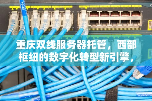 重庆双线服务器托管，西部枢纽的数字化转型新引擎，重庆双线服务器托管公司