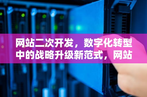 网站二次开发，数字化转型中的战略升级新范式，网站二次开发是什么