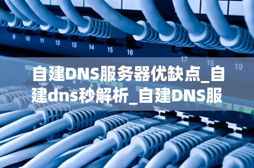 自建DNS服务器优缺点_自建dns秒解析_自建DNS服务器的优缺点分析