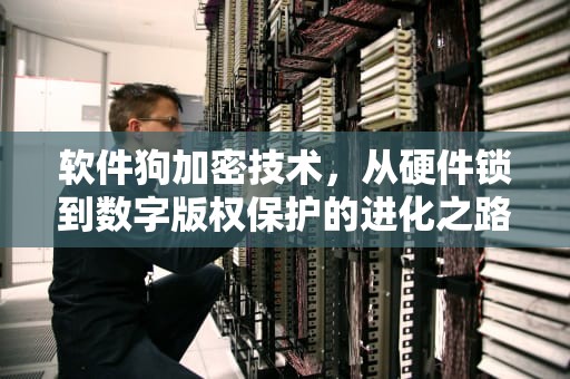 软件狗加密技术，从硬件锁到数字版权保护的进化之路，软件狗加密狗可以复制吗